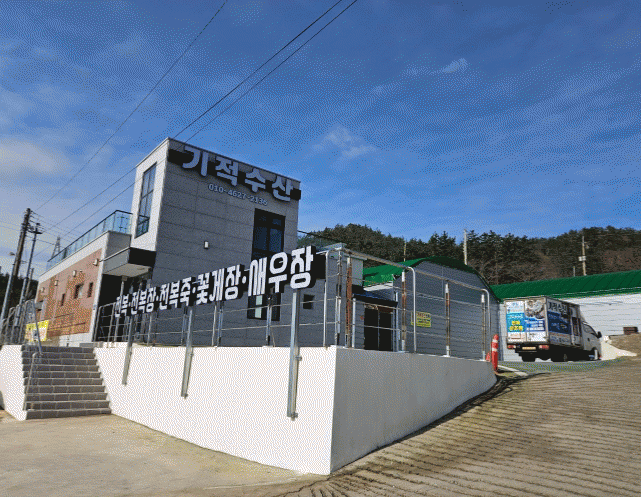 기적수산 이미지